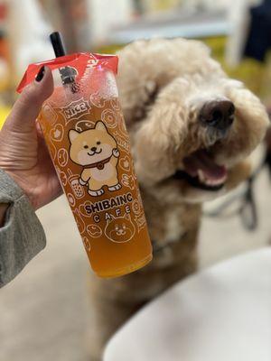 How cute is this Shibu inu themed boba tea spot