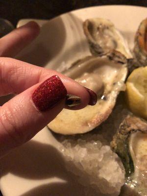 Teeny Tiny Oyster