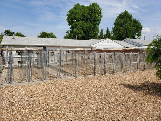 Spacious Indoor Rooms with doggie doors connecting to outside private fences for pottying.