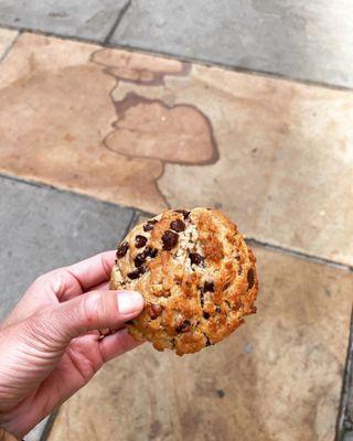 Chocolate chip walnut