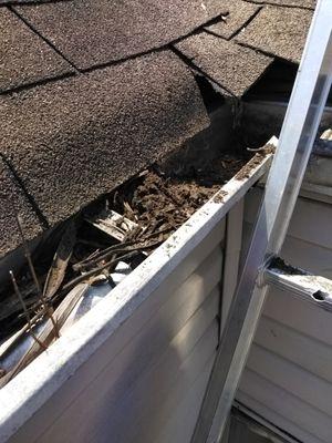 Gutter Cleaning