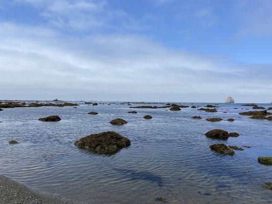 Olympic National Park