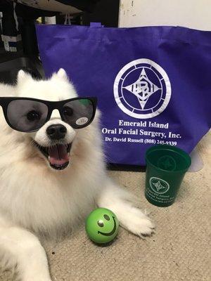 Goodies I got after surgery (dog not included)