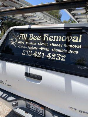 All Bee Removal