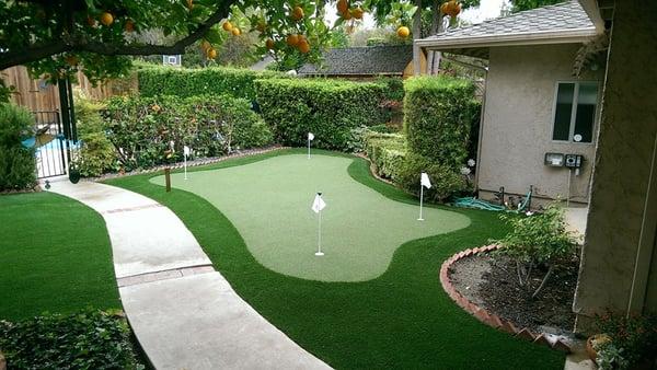 This is a great area for a putting green!