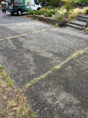 Driveway BEFORE