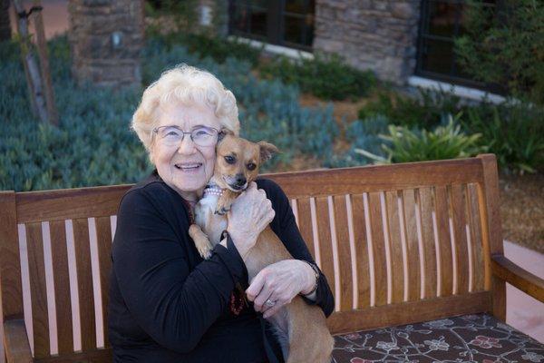 St. Paul's Plaza is pet friendly. There is even a dog park!