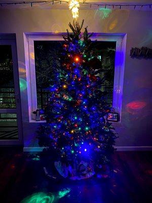 Our beautiful tree!