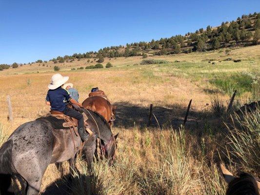 Horseback riding