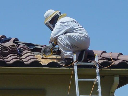 Rooftop removal