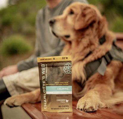 Reward your pup with CBD to help maintaining calm and comfort during the fireworks.