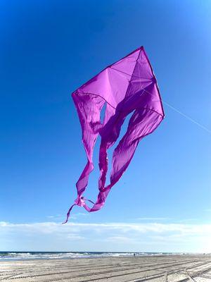 Purple delta Flo tail kite