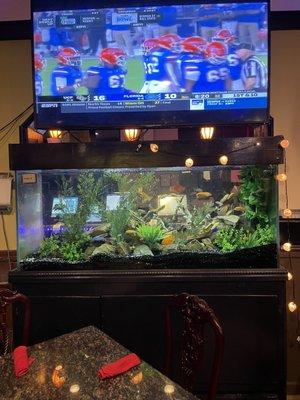 One of the many tvs and the fish tank