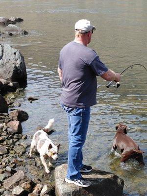 Dogs waiting for Grandpa to bring in a fish!