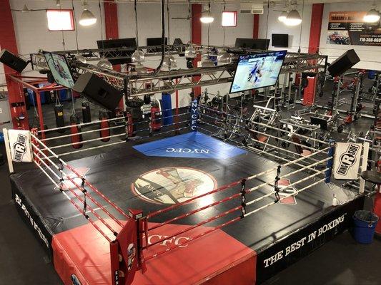 Boxing 
Ring