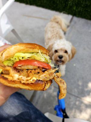 Soft Shell Crab Sandwich. Sorry... not for you pup. ;-p