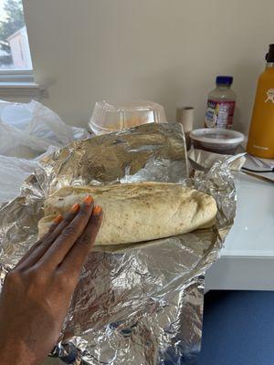 Huge burrito