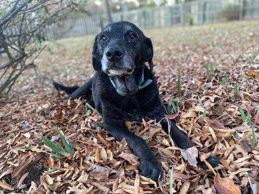 Hope Springs Veterinary at Sajo Farm