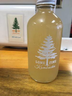 Ginger Kombucha