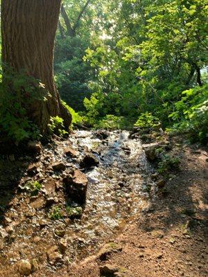 Lime Kiln Trail