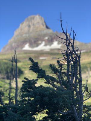 Logan Pass