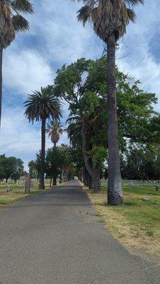 Lodi Memorial Park & Cemetery