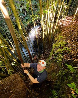 Bamboo Forest, Hana