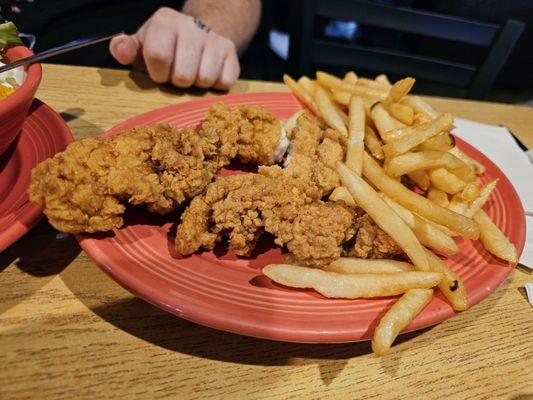 Chicken Strip Meal