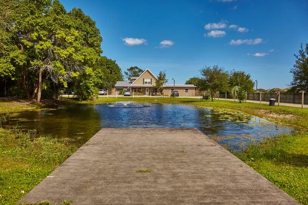 Pond view