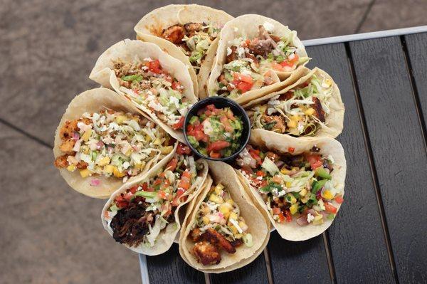 Carnitas, chicken, mahi, veggie, salmon, calamari, short rib, and shrimp tacos