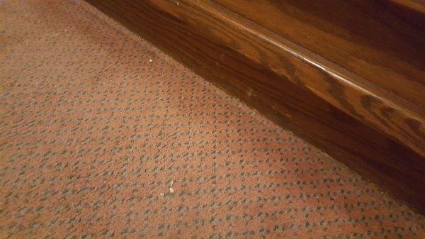 Forget about washing the carpet. At least, does someone sweep the floor or uses a vacuum? Very unlikely...