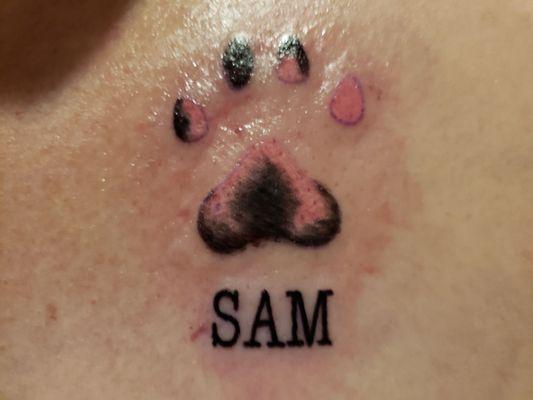 Memorial dog print tatoo