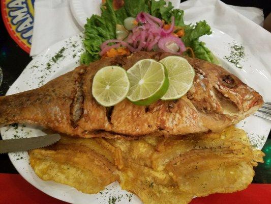 Fried Snapper