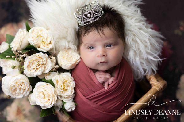 Newborn Portraits