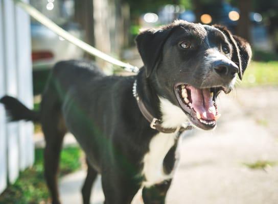 Barker excited to find some bed bugs