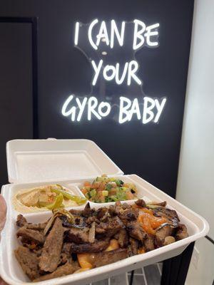 Gyro Plate