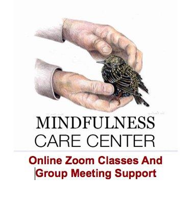 Attend Our Online Classes & Groups In Zoom.