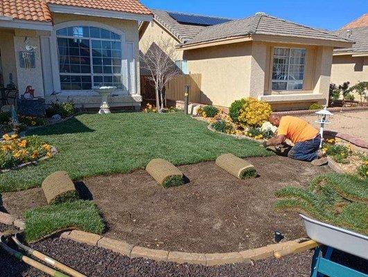 Sod sales and sod installation