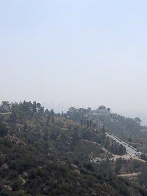 View of Griffith Observatory and the LA skyline behind it from the Mt Hollywood trail