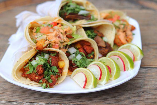 [Taco Platter] Al pastor taco, carnitas taco, and Fried Fish Tacos