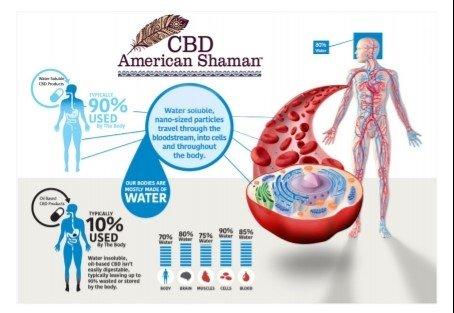 How water soluble breaks down in the body