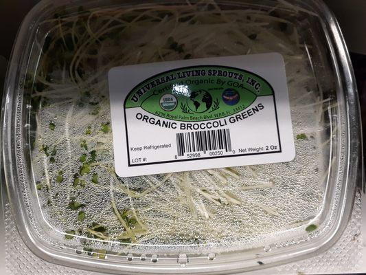 Broccoli Sprouts