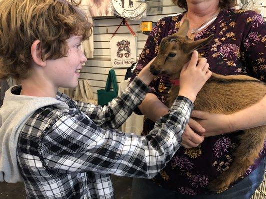 Baby goat love.