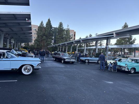 Yearly car show