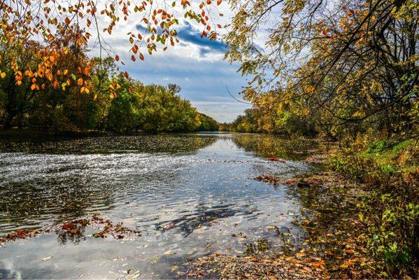 Vincent DiFilippo Nature Preserve