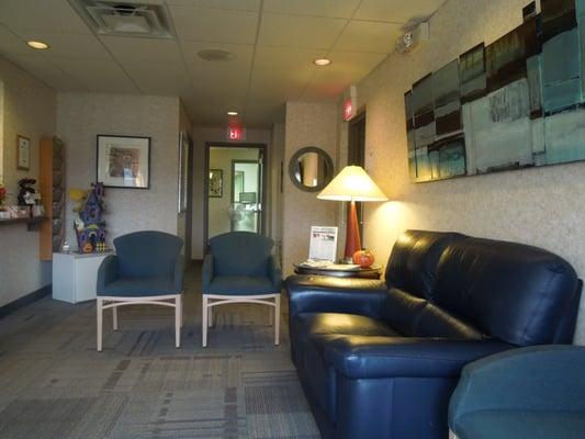 Before seeing Dr. Kaufman or Almasanu, relax in our beautiful, updated reception room.