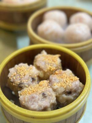 Pork Dumplings