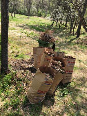 The work they left me with and the mulch and branches match the work they performed.