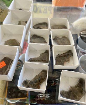 Petoskey stones for sale