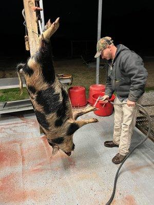 Bubba cleaning my first one.